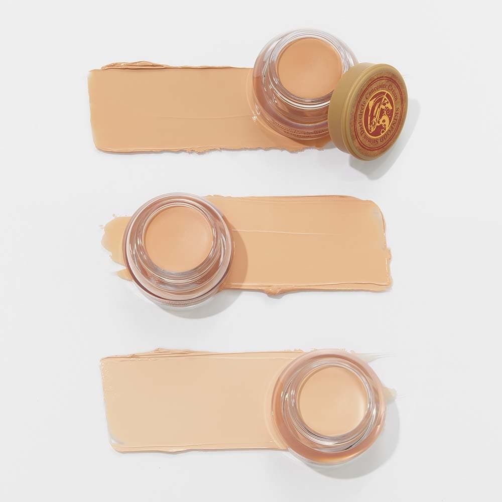 SKINFOOD Salmon Darkcircle Concealer 10g