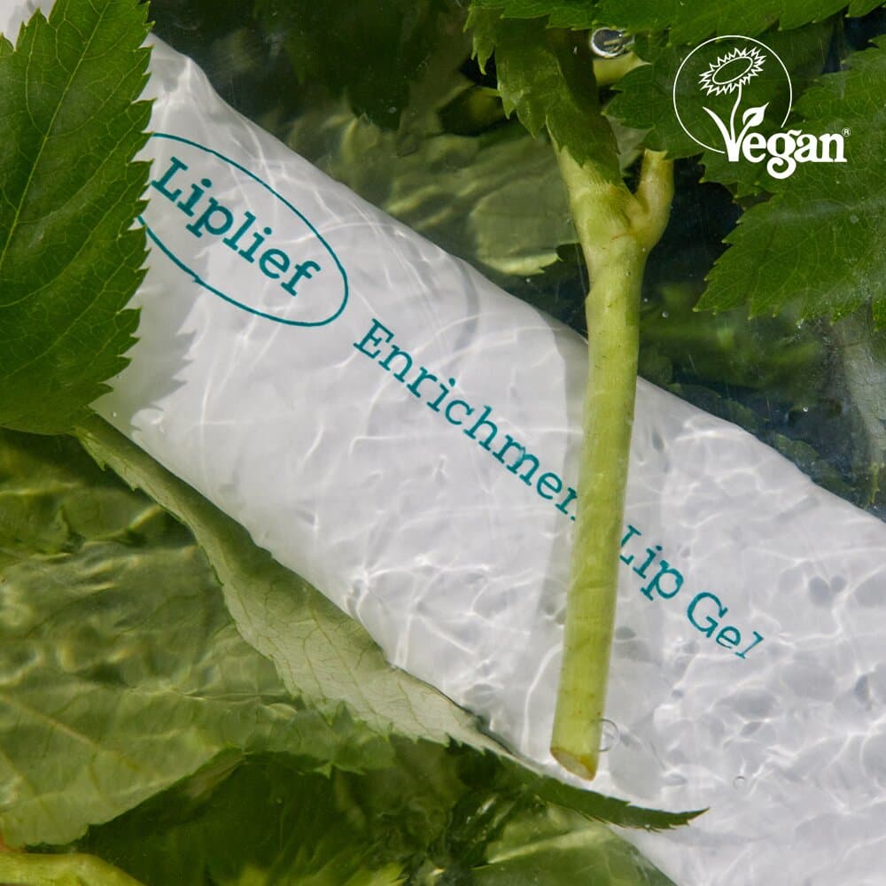 Liplief Enrichment Lip Gel 13g